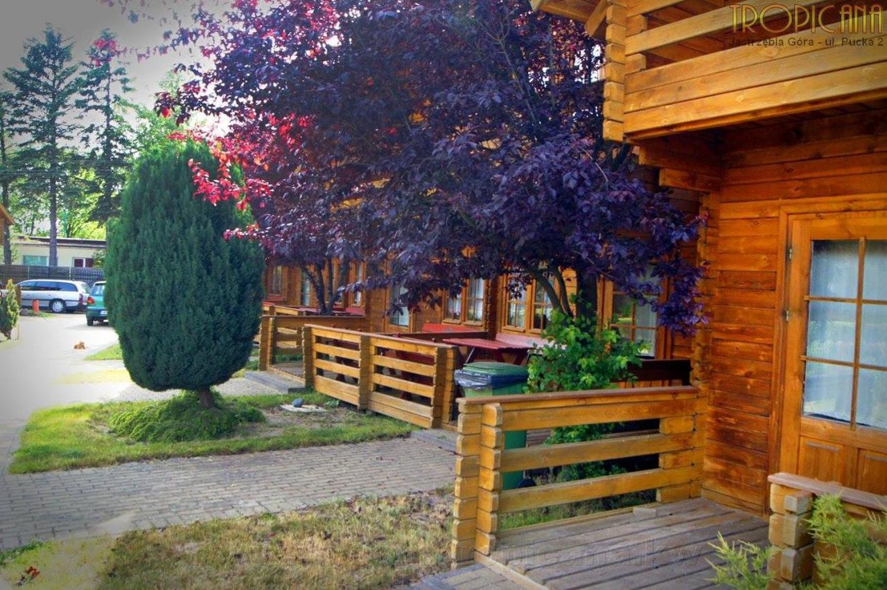 Tropicana Ϫϫ Jastrzebia Gora Exterior foto
