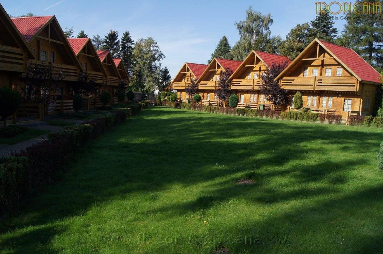 Tropicana Ϫϫ Jastrzebia Gora Exterior foto